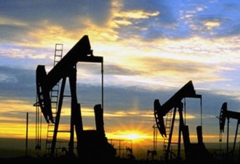 petroleo short